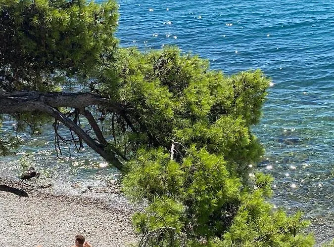 Ria Lungomare